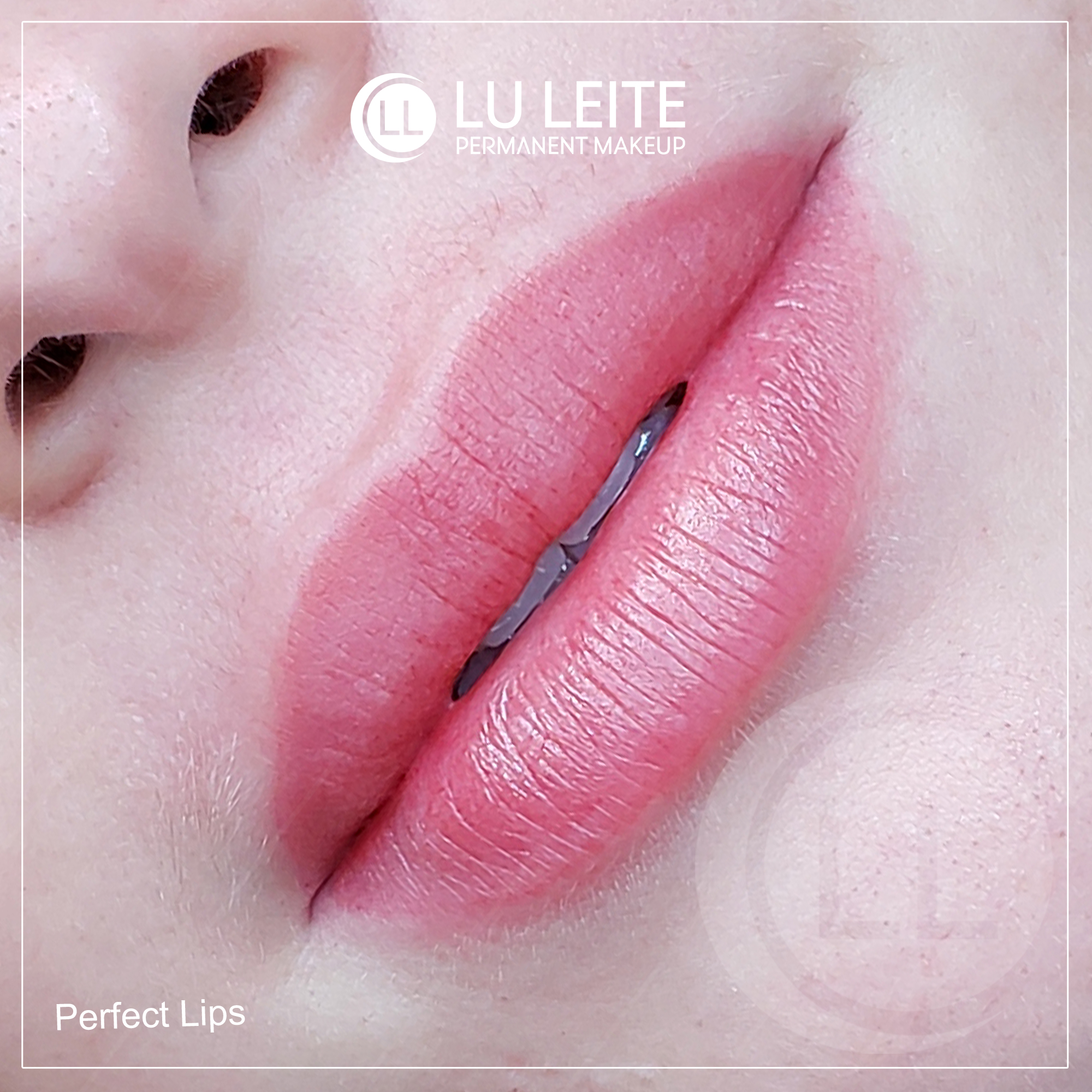 Micropigmentação labial